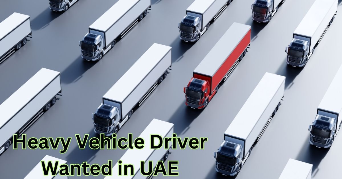 Heavy Vehicle Driver Wanted in UAE