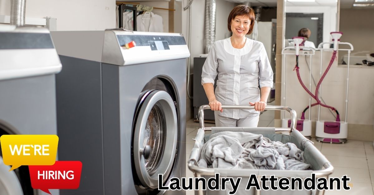 Laundry Attendant Jobs In Canada