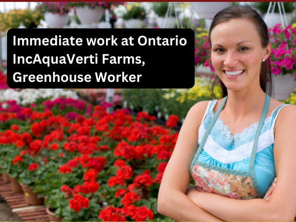work at Ontario IncAquaVerti Farms, Greenhouse Worker