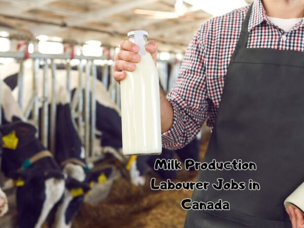 Milk Production Labourer Jobs in Canada