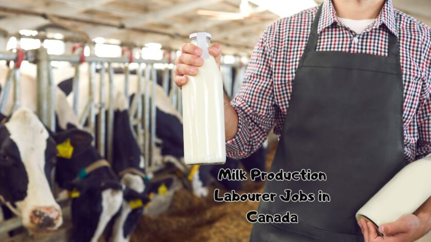 Milk Production Labourer Jobs in Canada